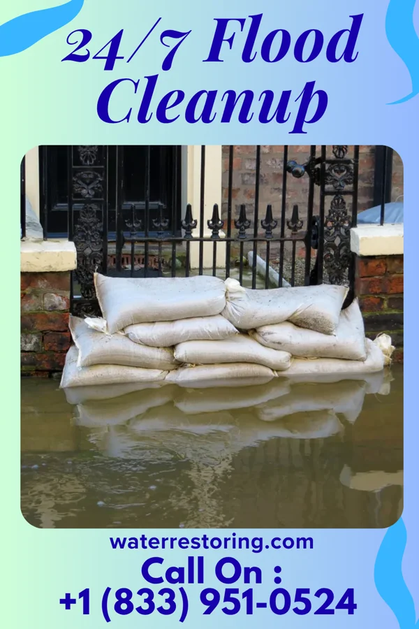 24/7 Flood Cleanup in Volente, TX