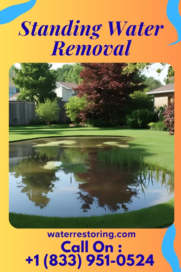 Standing Water Removal in Volente, TX